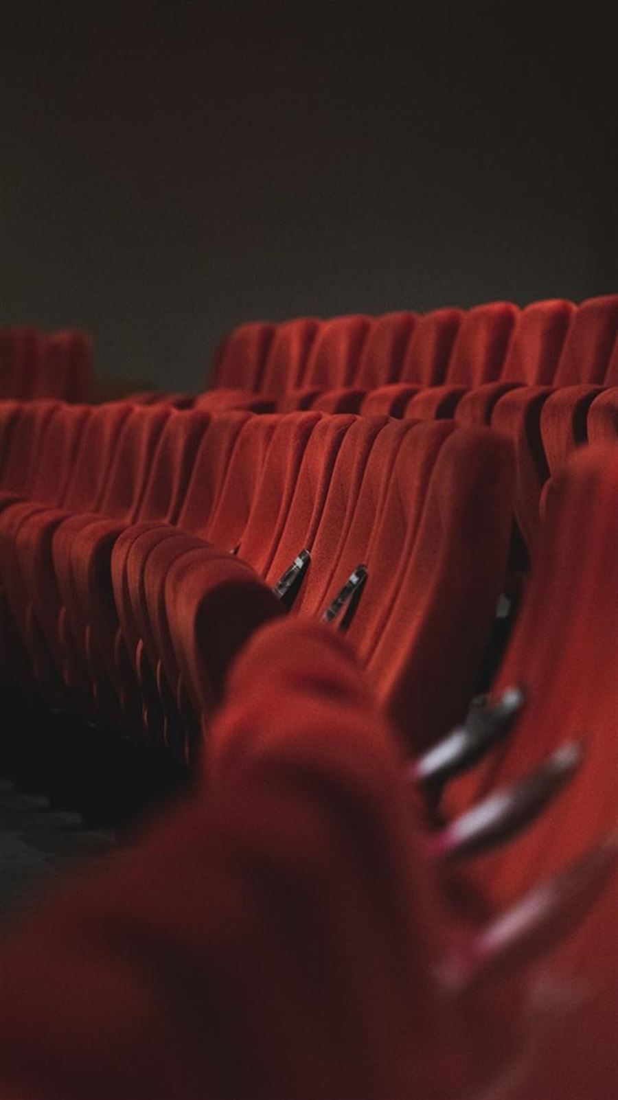 Biografklub for filmelskere