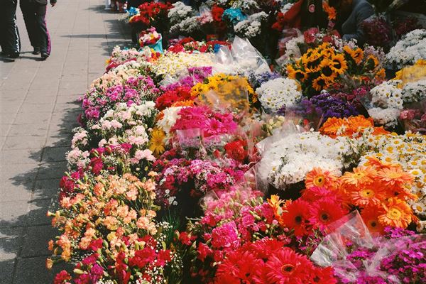 Blomster buket - alt, hvad du behøver at vide