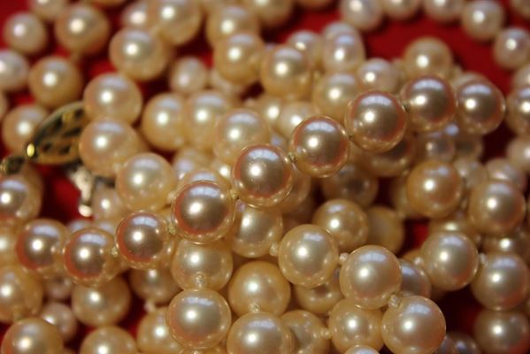 Ferskvandsperler – Naturens Underværk